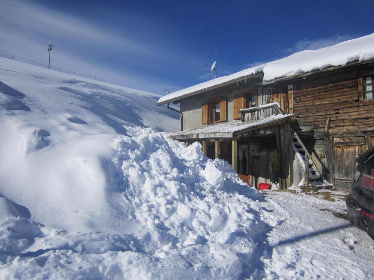 Ferienwohnung La Tea Di Heidi Livigno Exterior foto